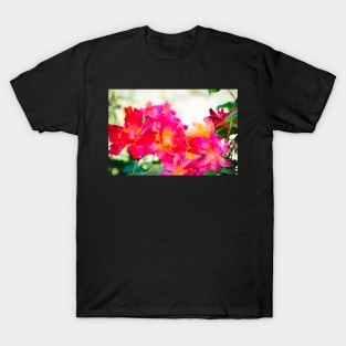 Rose 389 T-Shirt